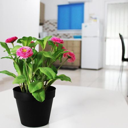 Duplex Comfort Apartments Larnaca Zewnętrze zdjęcie